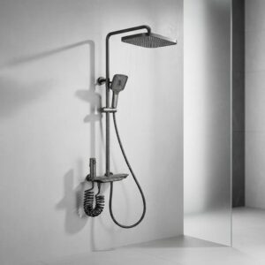 Barral De Ducha Con Botonera Gris Espacial Xh1 Enzo