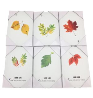 Cuadro Rectangular Pvc Diseno Hojas Fr49142